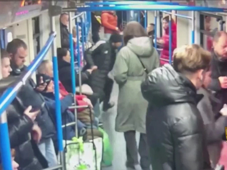 Уроженца Алтайского края задержали за дерзкий грабеж в московском метро