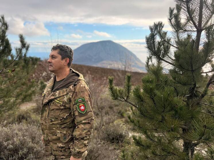 В Крыму два года не фиксируют краж ёлок из лесов