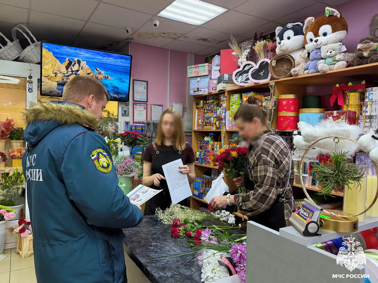 В Гагарине МЧС начали проверки торговых точек пиротехники