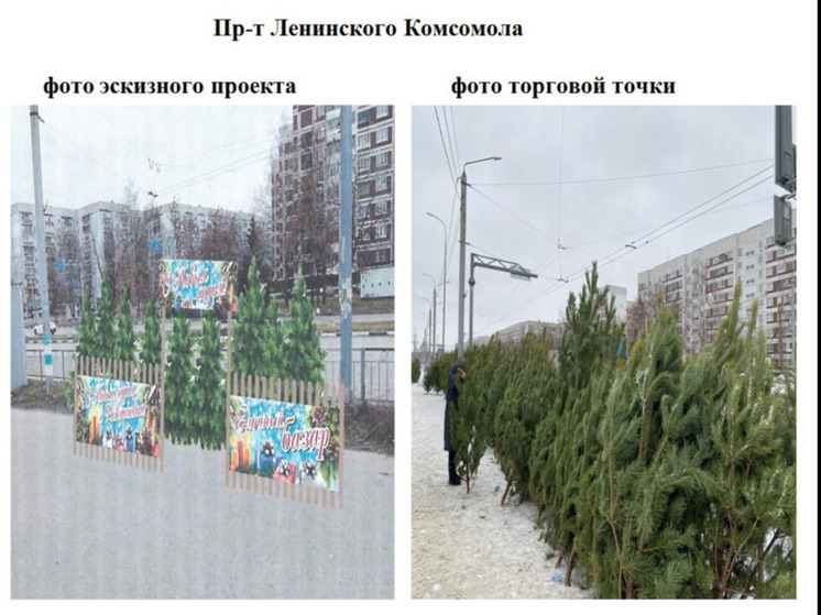 Глава Ульяновска потребовал привести ёлочные базары в соответствие с правилами