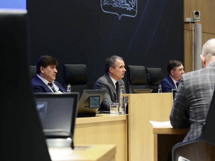 Вячеслав Гладков смотрит прямую линию президента Владимира Путина