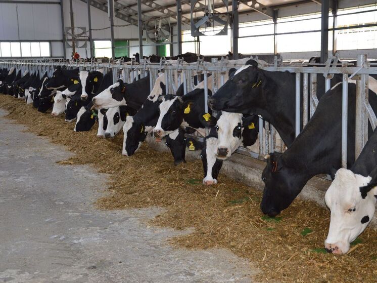 В Ивановской области продолжается модернизация сельского хозяйства