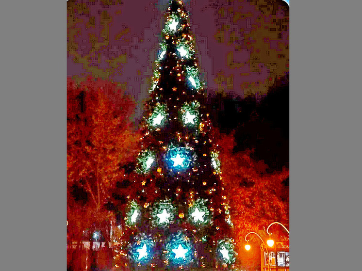 Вечером 19 декабря состоится открытие елки в Центральном парке Воронежа