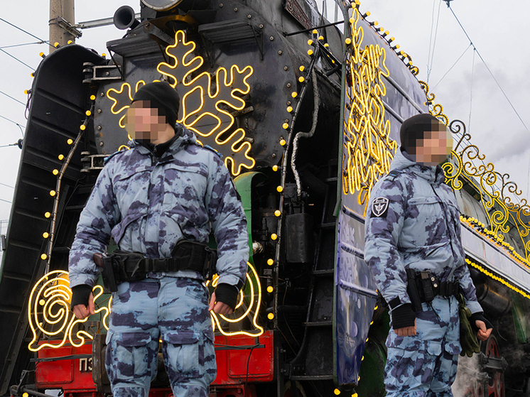 Росгвардия и полиция обеспечили безопасность пензенцев во время пребывания «Поезда Деда Мороза»