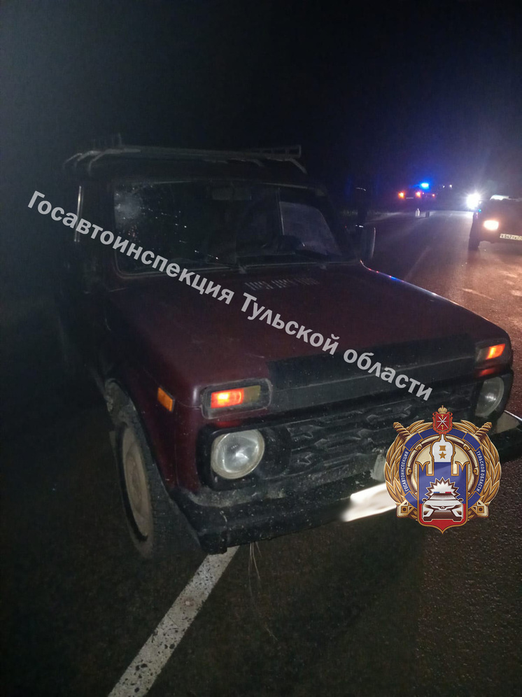 В Тульской области водитель «Лады» насмерть сбил пенсионерку