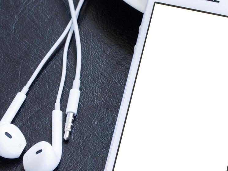 Жители Поморья стали больше слушать музыку и читать