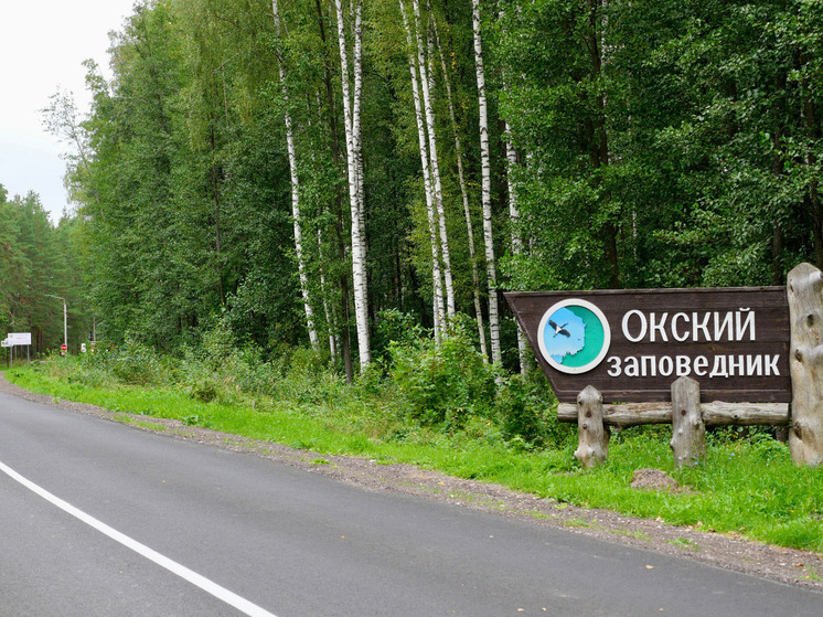 За год в Рязанской области отремонтировали 36 дорог в рамках нацпроекта