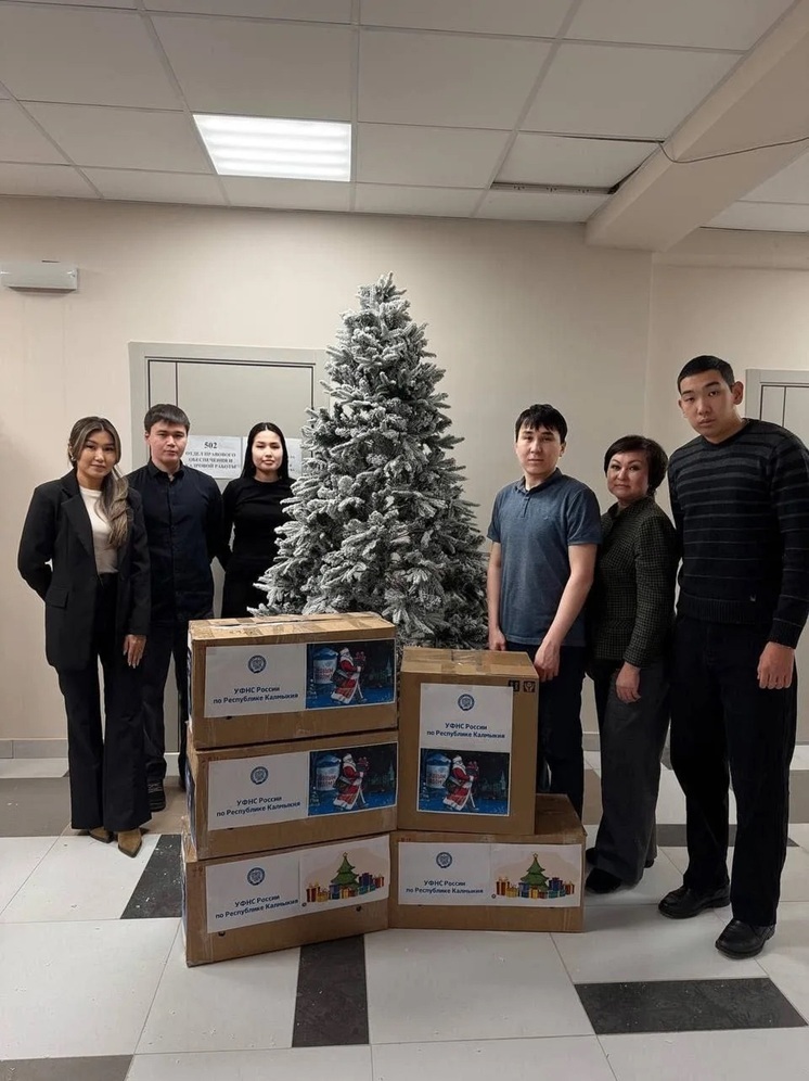 Калмыкия подарила соцучреждению Антрацита елку