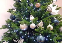 Украшение дома к Новому году – один из важнейших этапов создания праздничной атмосферы. При этом выбор украшений для елки – это не просто дань традиции, а возможность выразить свой вкус и настроение. Кто-то отдает предпочтение любимым игрушкам из детства, украшениям, которые передаются из поколения в поколение, а кто-то следит за последними трендами. 