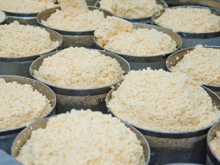 В Волгоградской области выявили творог сомнительного происхождения