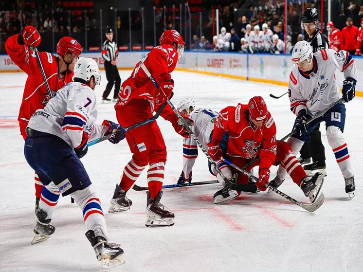 Министерство спорта прокомментировало ситуацию с выходом ХК "Ростов" из ВХЛ