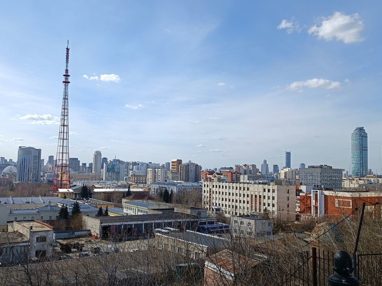 Дети в Екатеринбурге разбили молотком камеру домофона