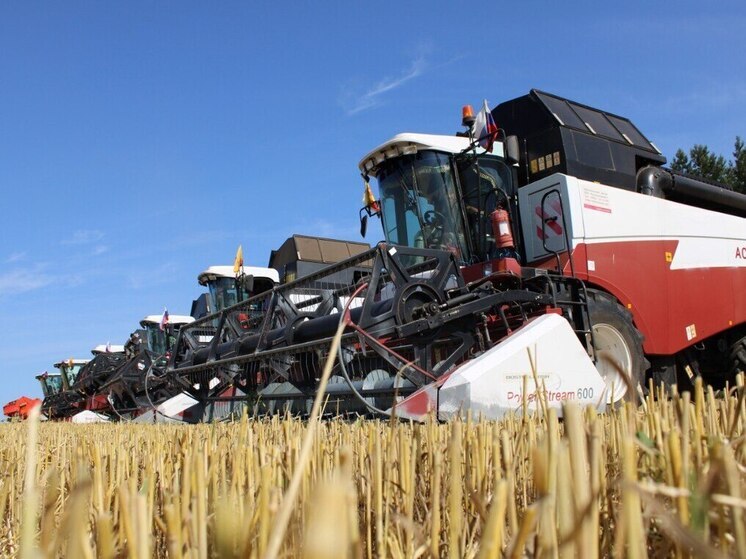 Урожай собранного в 2025 году зерна превысил 1 млн тонн