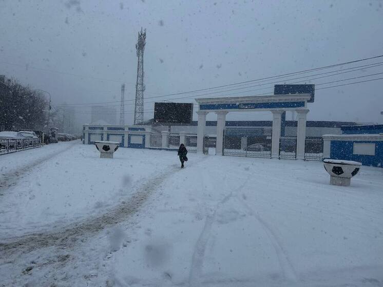 Небольшая оттепель и метели ожидаются в Алтайском крае 20 декабря