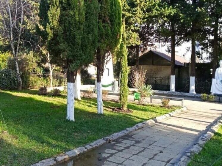 В Адлерском районе Сочи высадили свыше 2700 новых растений в 2025 году