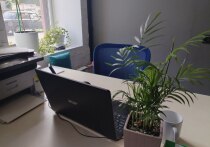 В регионах России начали демонстрировать новый ролик от Авито и автономной некоммерческой организации «Цифровая экономика», посвященный безопасным покупкам в Cети