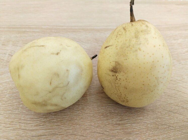 Белгородцев ждут на сельскохозяйственной ярмарке в Чернянке