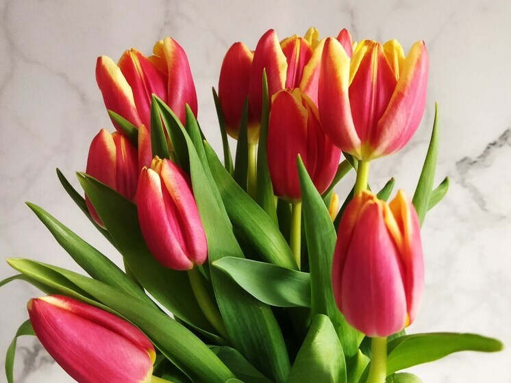  В Омскую область прибыли 30 тонн свежих цветов из Китая