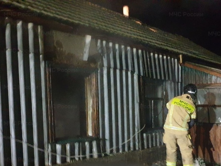 Ночью в херсонском селе Петровка сгорел жилой дом