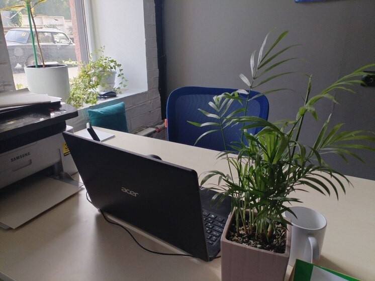 Безопасные покупки в интернете: Авито запускает обучающий ролик на медиаэкранах по всей стране