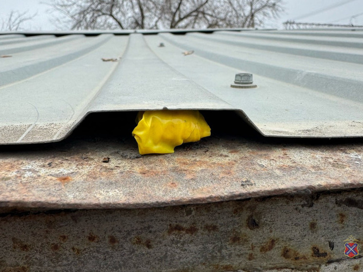   В Волгограде полицейские задержали иностранца с синтетическим наркотиком