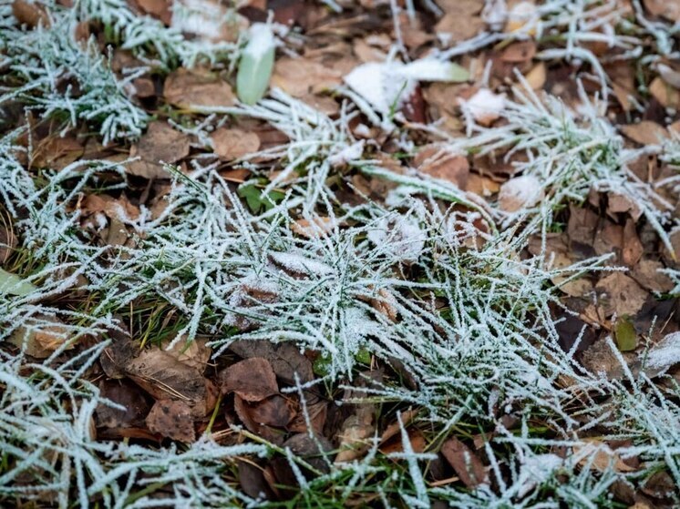 Приметы на Абросимов день: что нельзя делать 20 декабря 2025 года