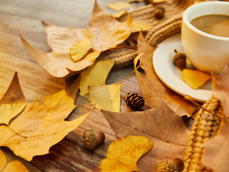 7 градусов тепла прогнозируют в Херсонской области 20 декабря