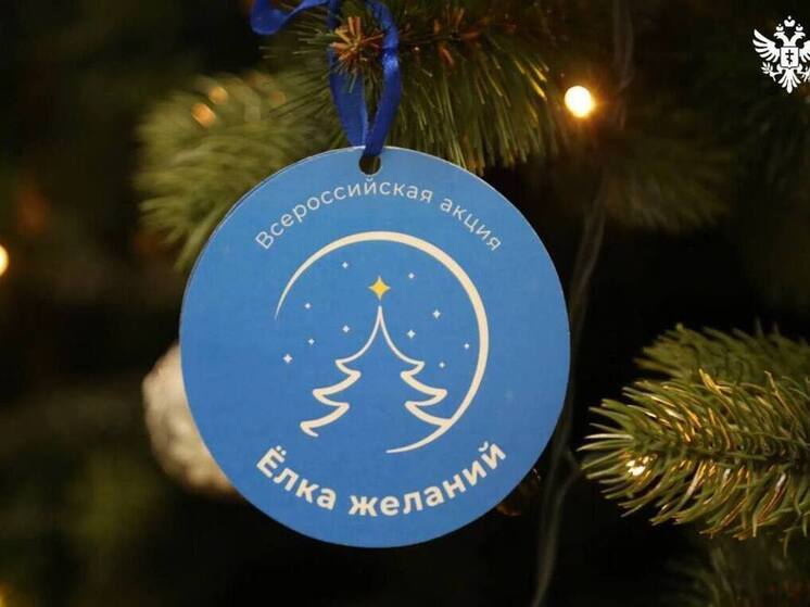 Виталий Булюк и Александр Дудка исполнили мечты детей в Скадовском округе