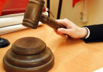 За досадный инцидент с грудным младенцем осужден начальник участка предприятия, отвечавший за благоустройство территории близ Суздальского пруда на востоке Москвы