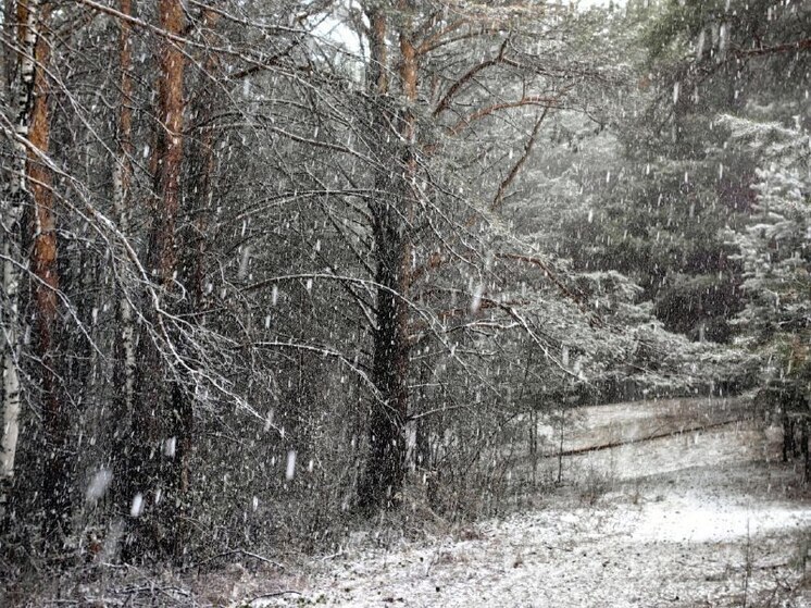 Снегопады и ветер не утихомирятся в Хакасии