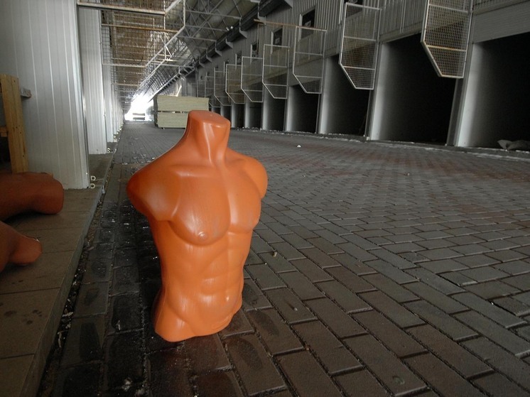 Манекен, «попавший под поезд», озадачил пассажиров электрички на северо-востоке Москвы