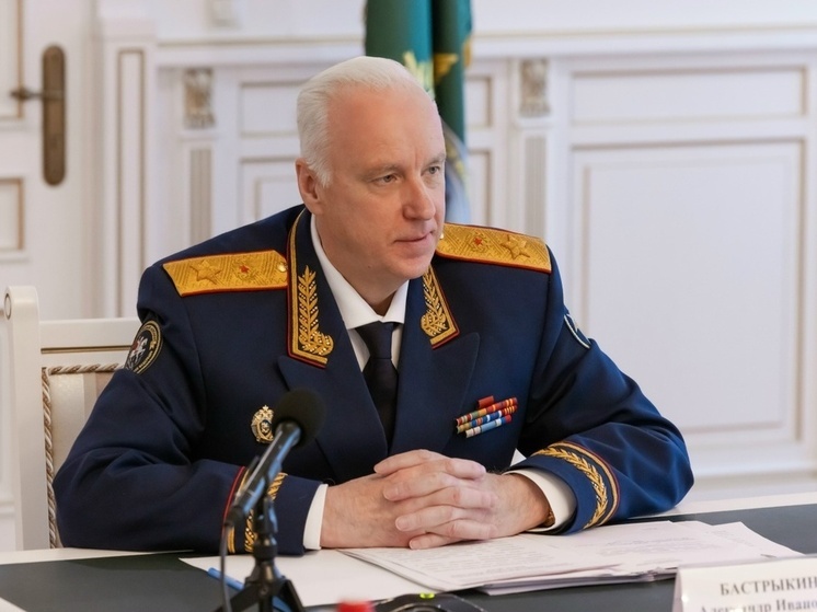 Глава СК потребовал возбудить уголовное дело по факту сломанного моста в Ярославской области