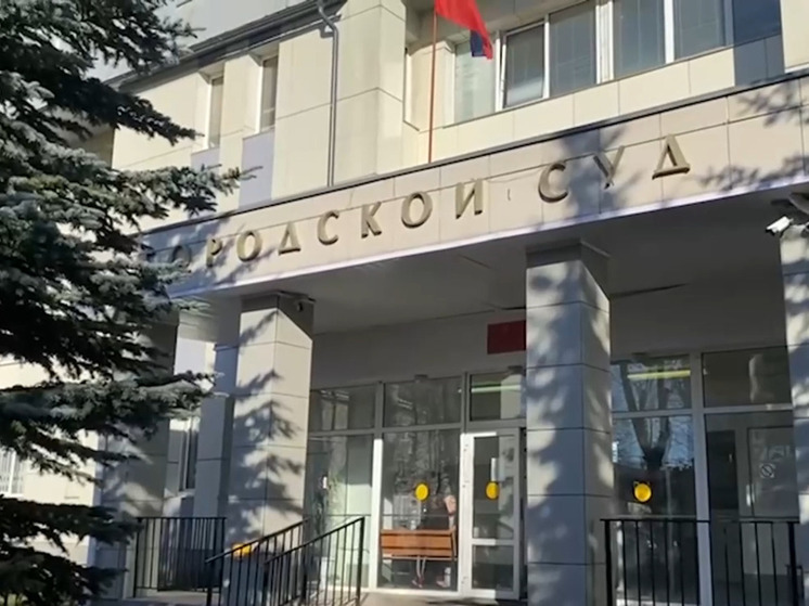 Дело гатчинского похитителя несовершеннолетних направили в суд