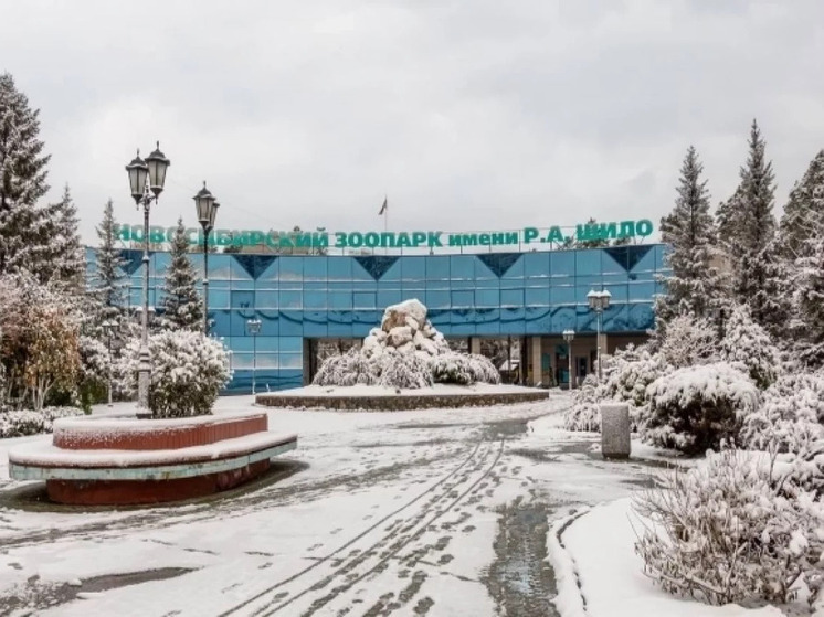 В Новосибирском зоопарке открылась резиденция Деда Мороза