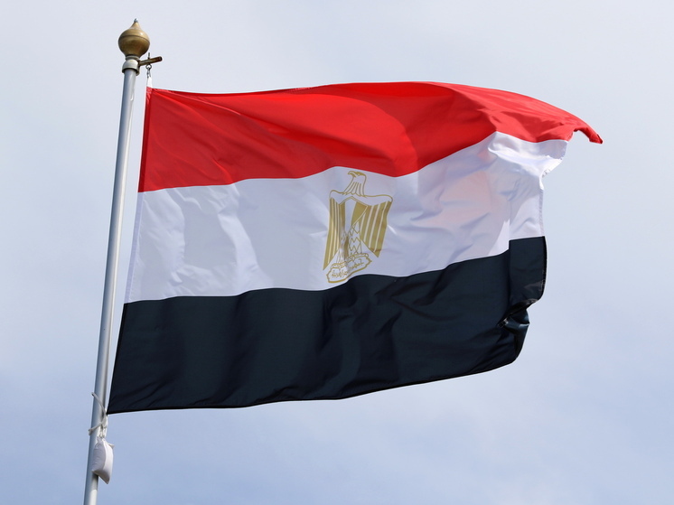 Глава МИД Египта Бадр Абдель Аты: Каир готов внести вклад в урегулирование на Украине