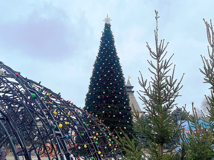 В Астрахани на новогодних каникулах пройдут концерты и детские забавы