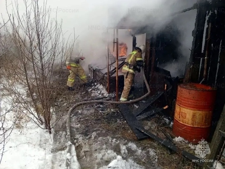 В Туринске сгорел частный жилой дом