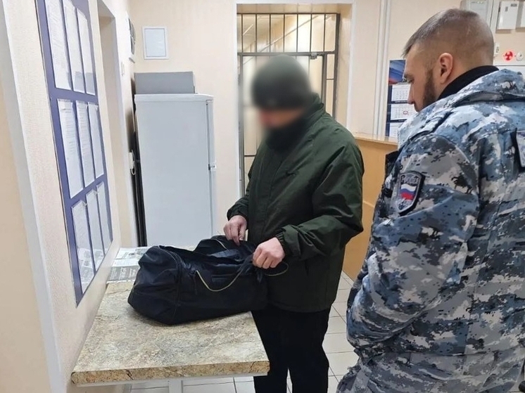 Многонациональная Кострома: криминального таджика выдворили в родной кишлак