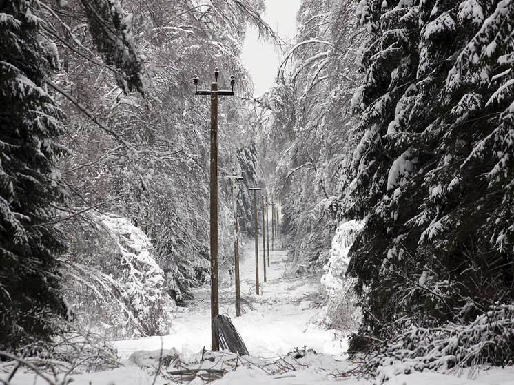 В Днепропетровске жители подрались с электриком из-за света