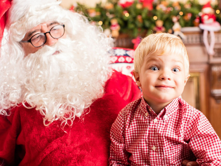 Детям Хабаровского края представили ИИ-Деда Мороза