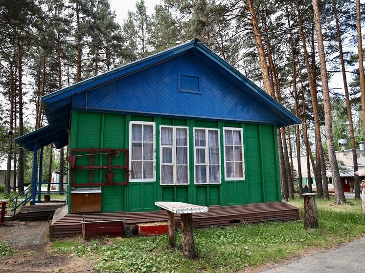 Редкие загородные базы Челябинской области выставили на продажу