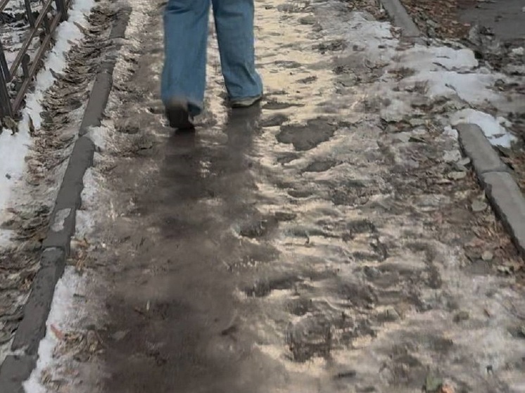 Школьники и студенты помогают дорожникам чистить снег в Благовещенске