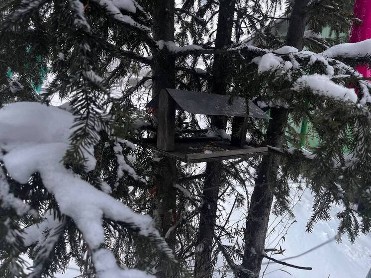 Лесные пожарные Туруханья украсили ёлку кормушками для птиц