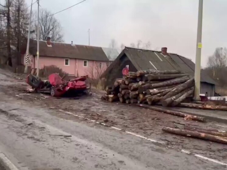 Вылетевшие бревна раздавили легковушку с водителем в Карелии