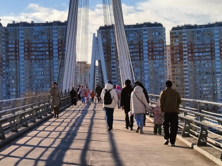 Глава Подмосковья подвел итоги уходящего года