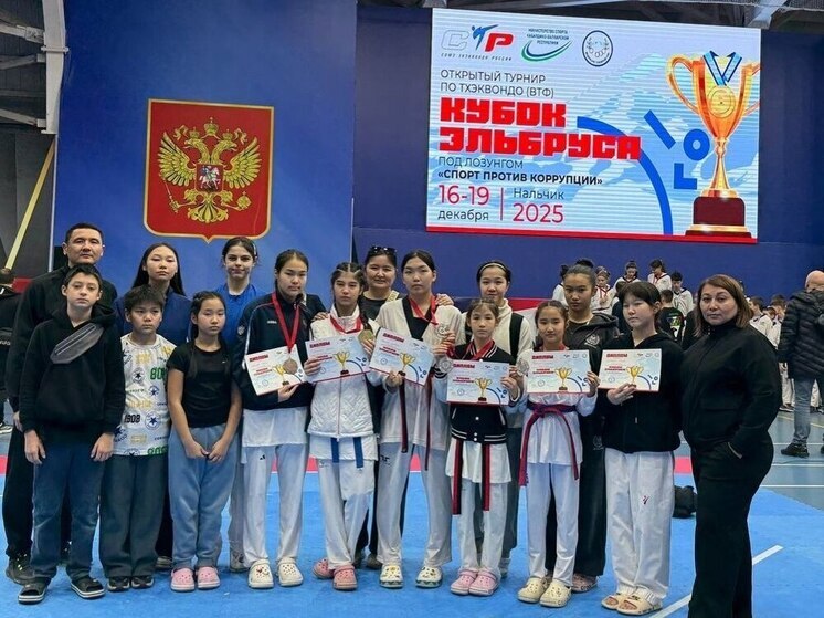Тхэквондисты Калмыкии завоевали награды