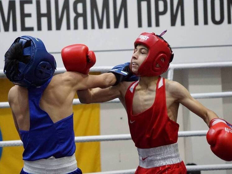 Боксеры Калмыкии состязаются перед окружным этапом
