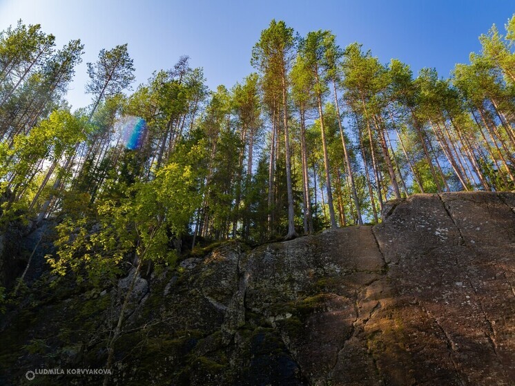 Нацпарку Карелии передадут 14 тысяч гектаров леса, которые будут отнесены к охраняемым территориям