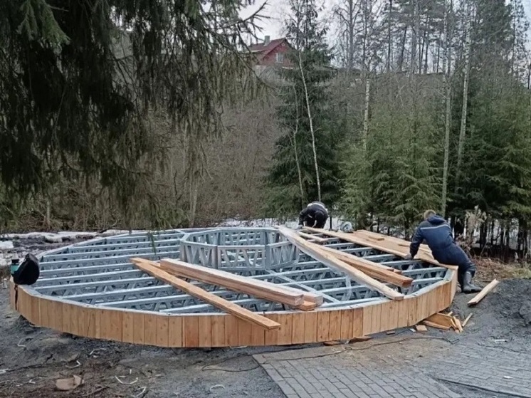 В парке в Приладожье планируется установить 28 видеокамер