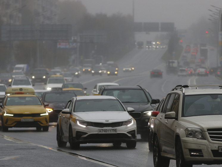 МЧС: в Москве в ночь на субботу ожидаются сильный туман и гололед